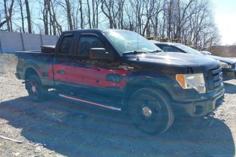 1FTEX1EW4AFC83165 | 2010 FORD F-150