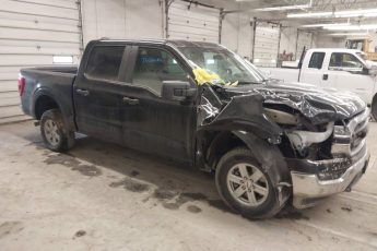 1FTFW1E81PFA23713 | 2023 FORD F-150