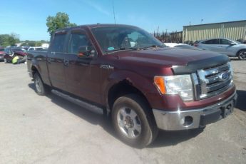 1FTFW1E83AFC12810 | 2010 FORD F-150