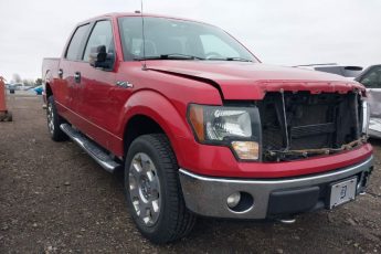 1FTFW1EF0BFA05615 | 2011 FORD F-150