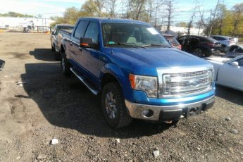 1FTFW1EF1DFA55572 | 2013 FORD F-150