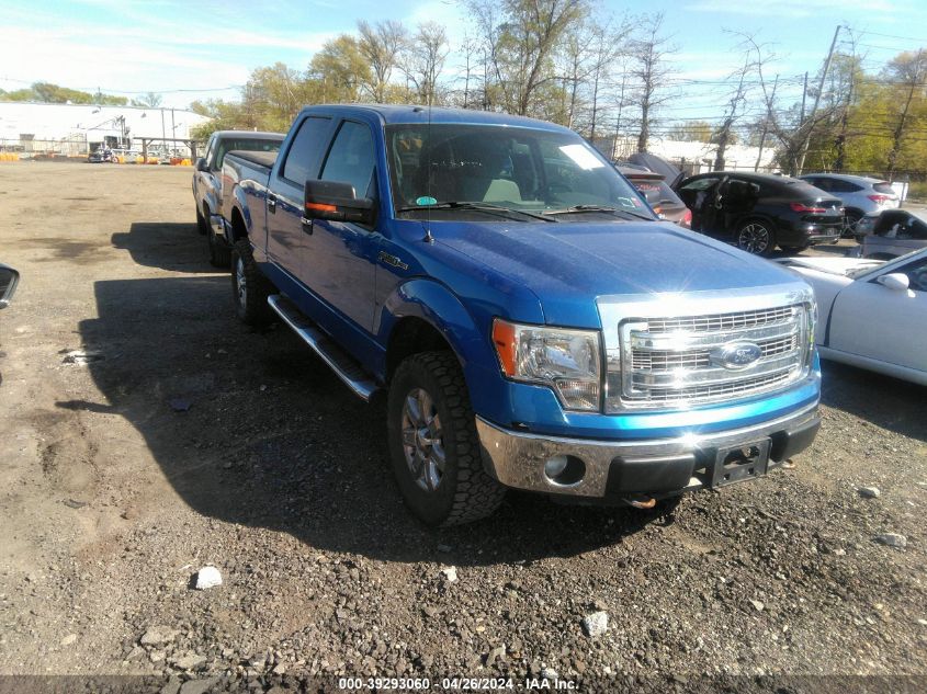 1FTFW1EF1DFA55572 | 2013 FORD F-150