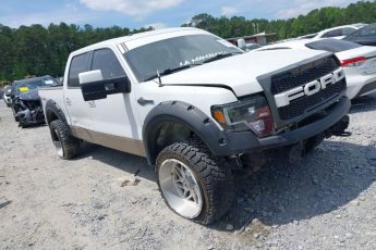 1FTFW1EF4DKE26229 | 2013 FORD F-150