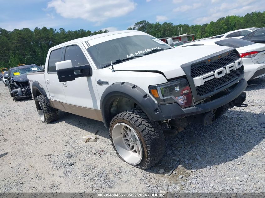 1FTFW1EF4DKE26229 | 2013 FORD F-150