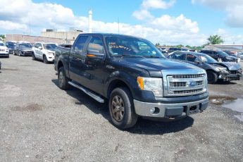 1FTFW1EF6DKE08122 | 2013 FORD F-150