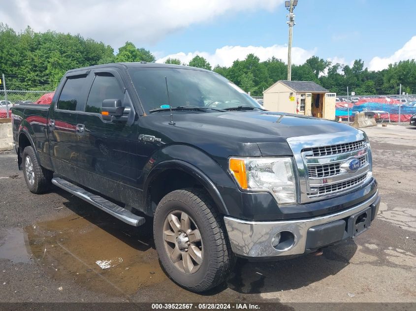 1FTFW1EF7DFB05066 | 2013 FORD F-150