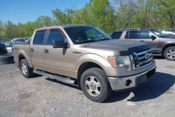 1FTFW1EF8BFA46669 | 2011 FORD F-150