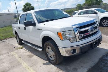 1FTFW1EF9DFA32007 | 2013 FORD F-150