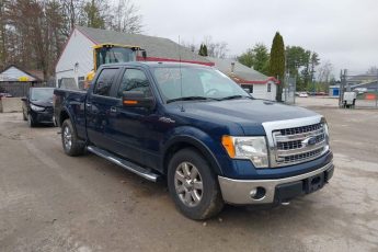 1FTFW1EFXDKD17693 | 2013 FORD F-150