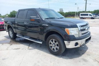 1FTFW1EFXDKF18686 | 2013 FORD F-150