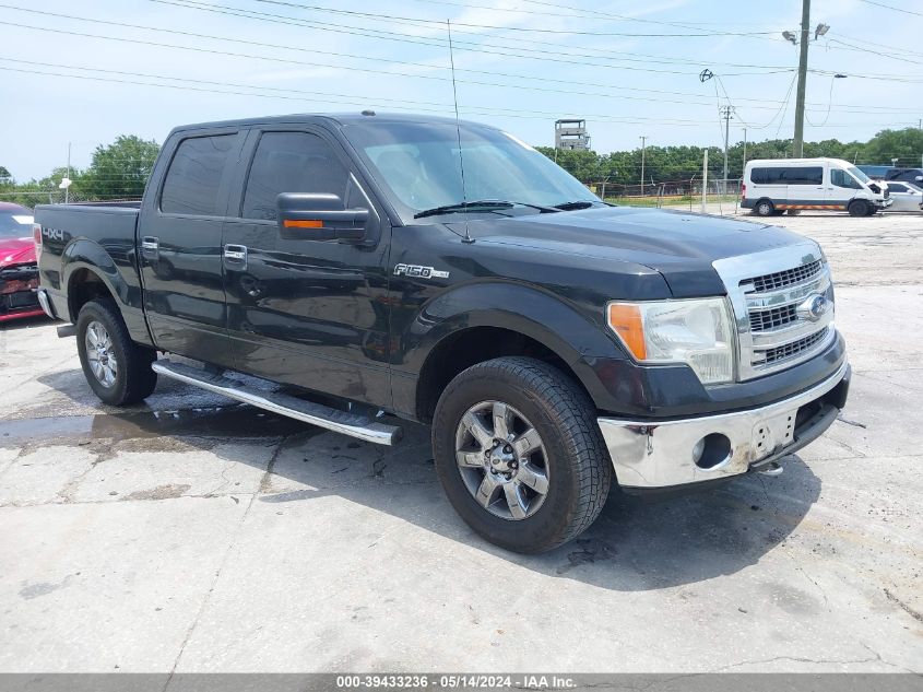 1FTFW1EFXDKF18686 | 2013 FORD F-150