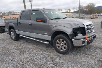 1FTFW1ET0DFB17792 | 2013 FORD F-150