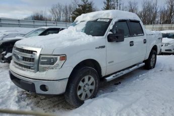 1FTFW1ET0EKG08288 | 2014 FORD F150 SUPER