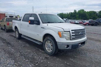 1FTFW1ET4DKD02449 | 2013 FORD F-150