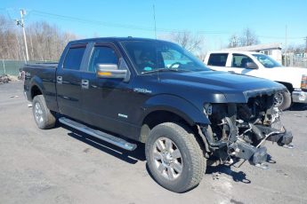 1FTFW1ET6BFB28101 | 2011 FORD F-150