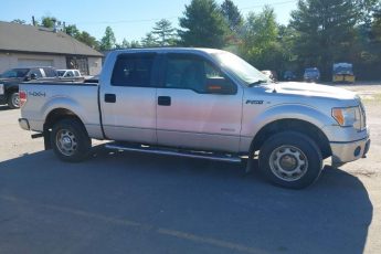 1FTFW1ET9BFB39657 | 2011 FORD F-150