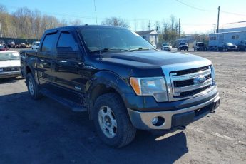 1FTFW1ET9EFB18649 | 2014 FORD F-150