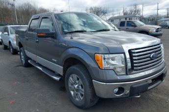 1FTFW1ETXCKE02005 | 2012 FORD F-150