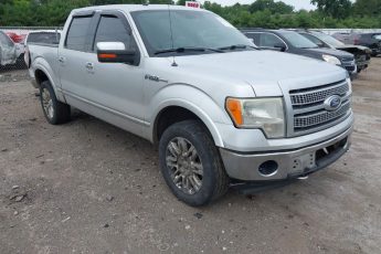 1FTFW1EV1AFA23014 | 2010 FORD F-150