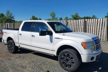 1FTFW1EV1AFA42159 | 2010 FORD F-150