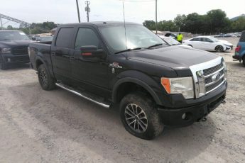 1FTFW1EV5AFB60585 | 2010 FORD F-150