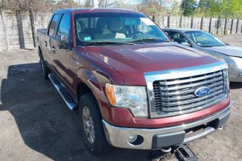 1FTFW1EV5AFC26729 | 2010 FORD F-150