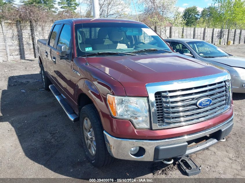 1FTFW1EV5AFC26729 | 2010 FORD F-150