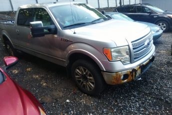 1FTFW1EV6AFA22974 | 2010 FORD F-150