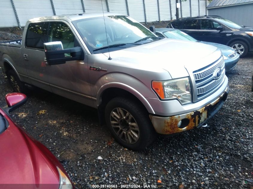 1FTFW1EV6AFA22974 | 2010 FORD F-150