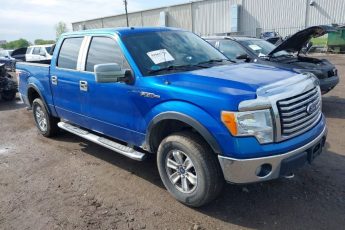 1FTFW1EV7AFC13691 | 2010 FORD F-150