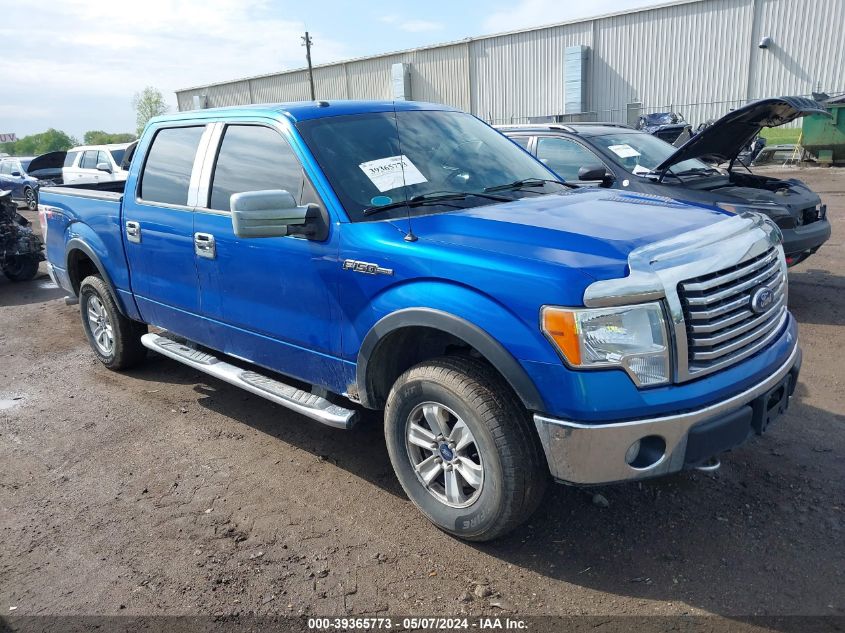 1FTFW1EV7AFC13691 | 2010 FORD F-150