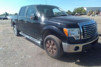 1FTFW1EV7AFD65048 | 2010 FORD F-150