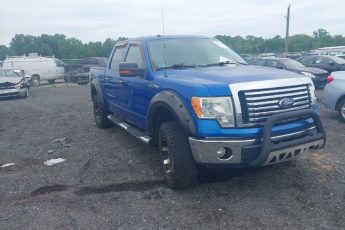 1FTFW1EV8AFB52223 | 2010 FORD F-150