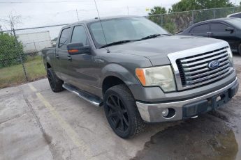 1FTFW1EV8AFC78498 | 2010 FORD F-150