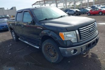 1FTFW1EV9AFB91869 | 2010 FORD F-150