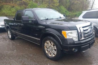 1FTFW1EVXAFA49238 | 2010 FORD F-150