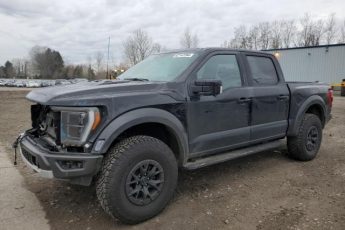 1FTFW1RGXPFC78152 | 2023 Ford f150 raptor