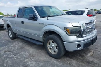 1FTFX1CT0DFD70305 | 2013 FORD F-150