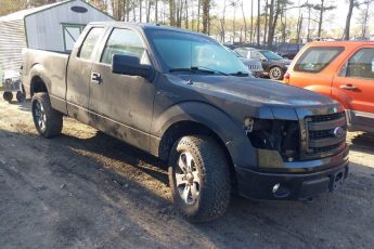 1FTFX1EF0DFB65039 | 2013 FORD F-150