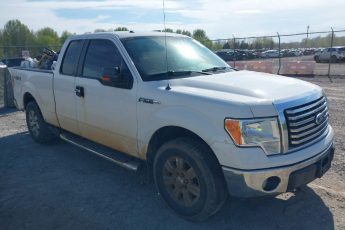 1FTFX1EF8CFA01102 | 2012 FORD F-150