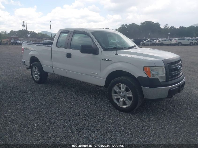 1FTFX1ET7DFA07948 | 2013 FORD F-150