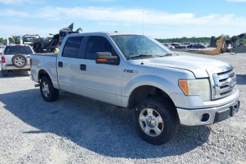 1FTRW12869FA17457 | 2009 FORD F-150