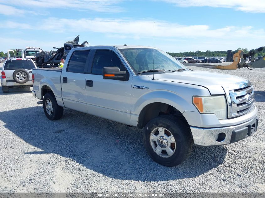 1FTRW12869FA17457 | 2009 FORD F-150