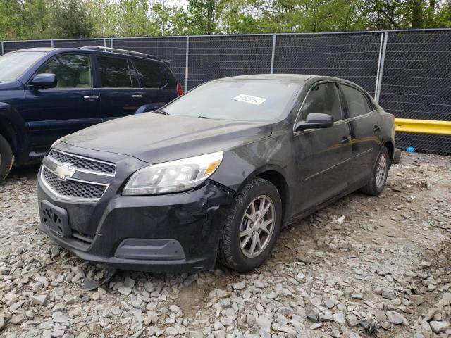 1G11A5SA5DU130688 | 2013 Chevrolet malibu ls