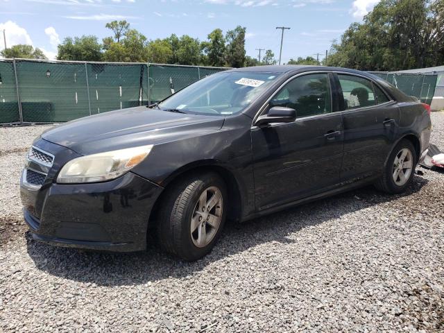 1G11B5SA8DF292008 | 2013 Chevrolet malibu ls