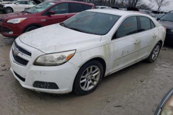 1G11C5SA3DF210781 | 2013 Chevrolet malibu 1lt