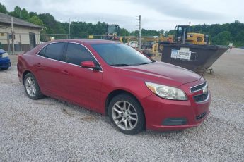 1G11D5RR9DF118499 | 2013 CHEVROLET MALIBU