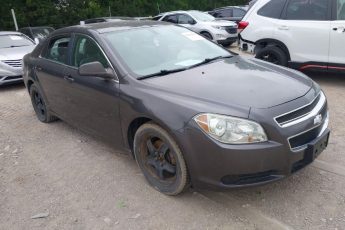 1G1ZA5EUXBF239609 | 2011 CHEVROLET MALIBU