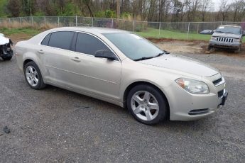 1G1ZB5E18BF207616 | 2011 CHEVROLET MALIBU