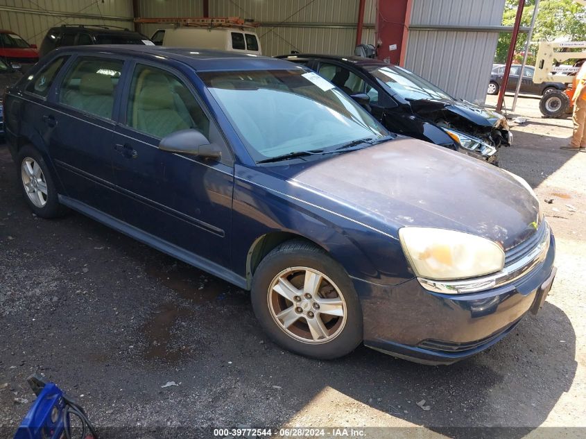 1G1ZT64834F166462 | 2004 CHEVROLET MALIBU MAXX